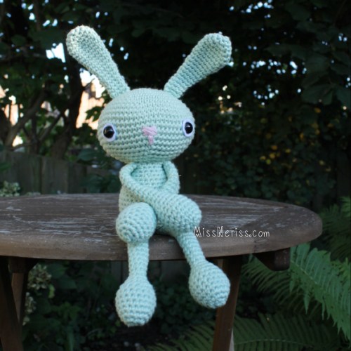 Meet Luci Bunny at missneriss.com