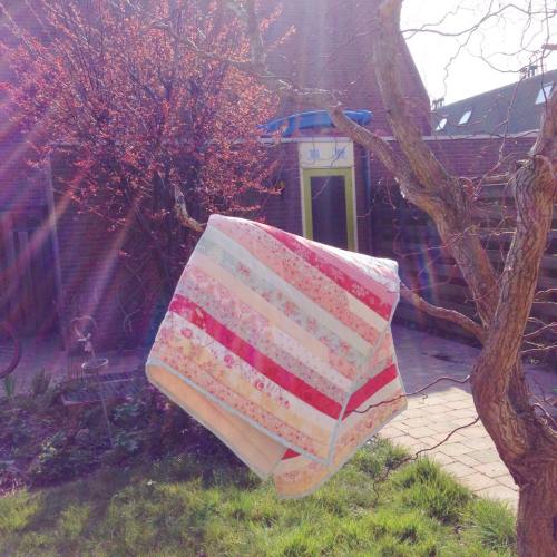 My first ever Jelly Roll Race Quilt