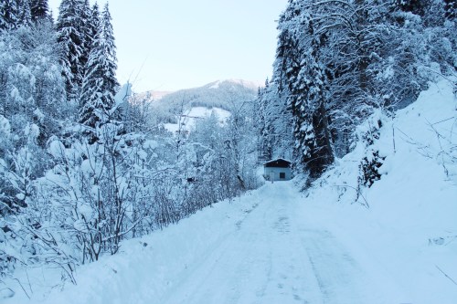 Alpbach Forest by MissNeriss