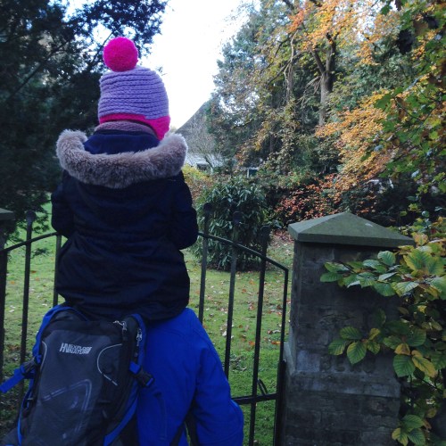 Chunky Camel Stitch Hat by MissNeriss