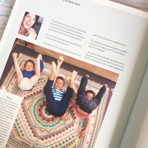 Sophie's Universe, by Dedri Uys. Available from Wool Warehouse: http://shrsl.com/?gxnh