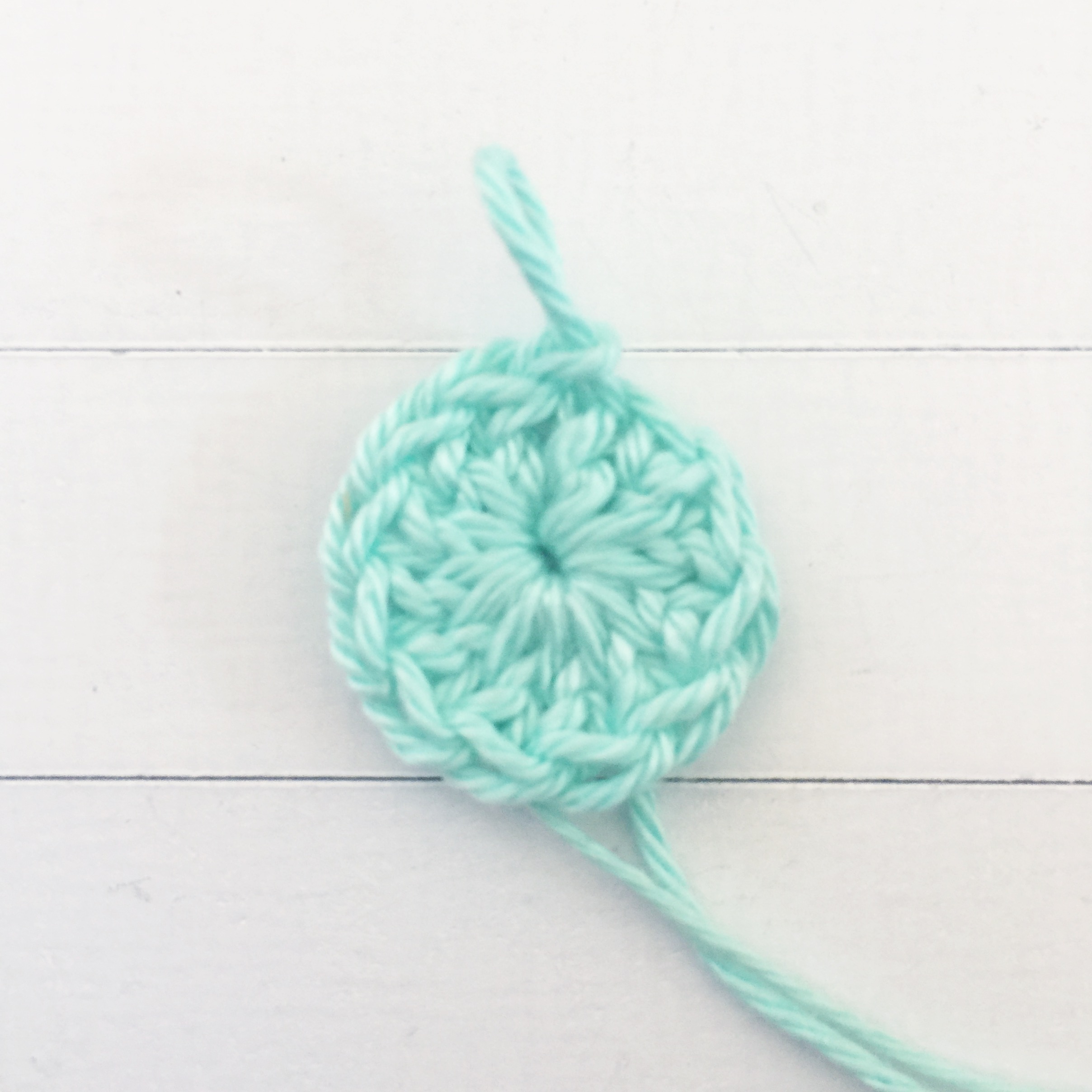 12 DC (double crochet) stitches into a MR (magic ring). SS (slip stitch) to join.